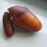 鸡宝