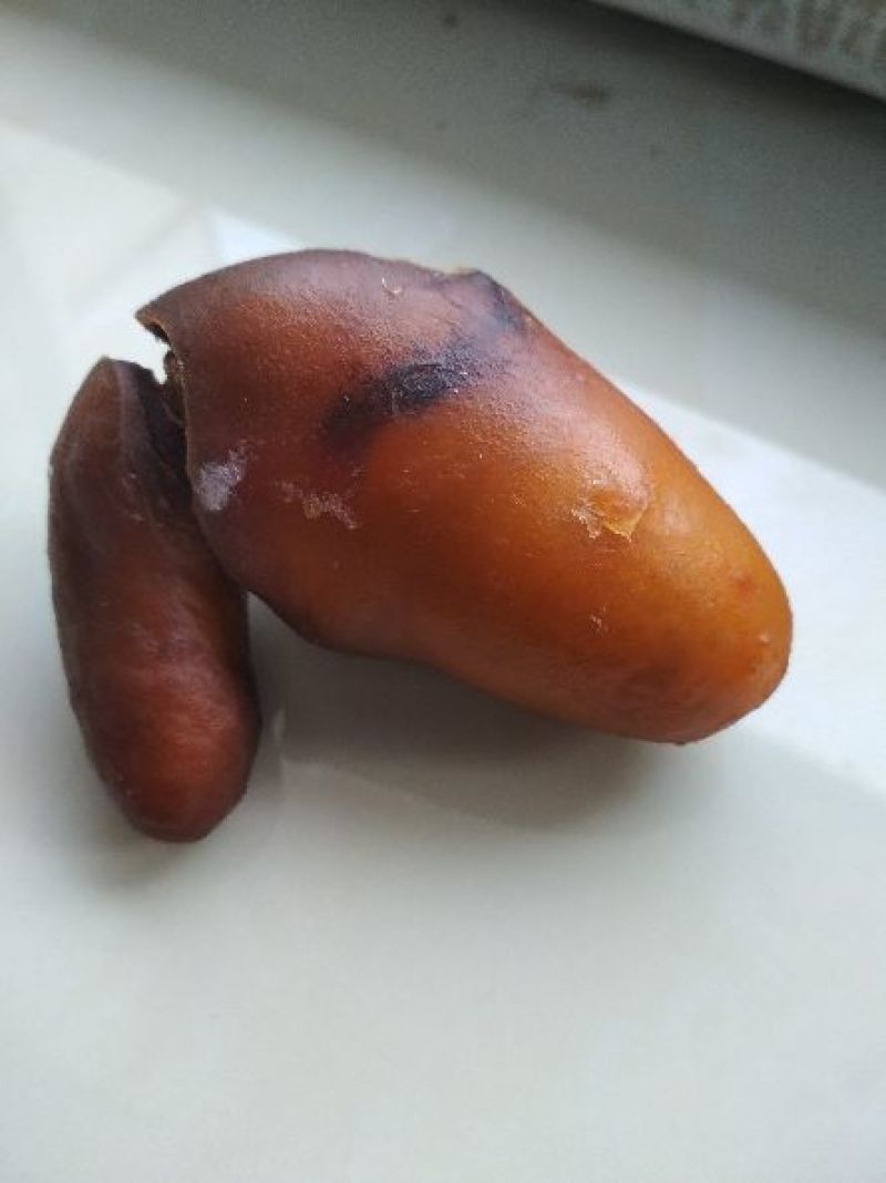 鸡宝