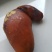 鸡宝