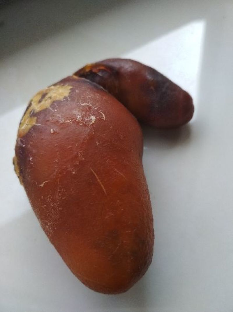 鸡宝