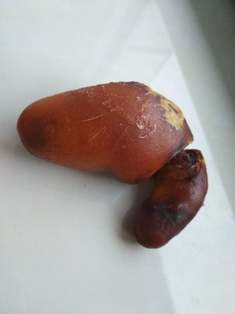 鸡宝