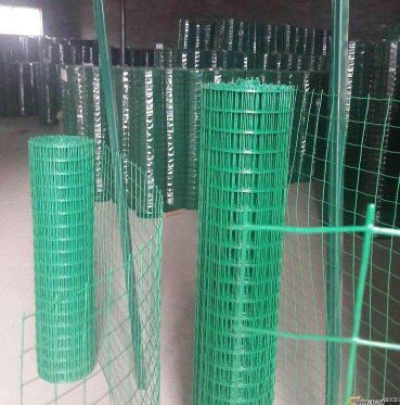荷兰网1.2米*30米6*6公分孔