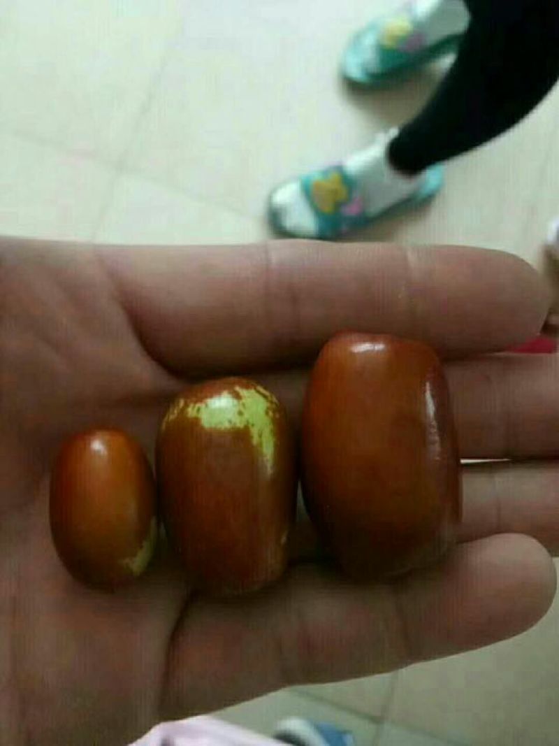 红枣鲜枣特级
