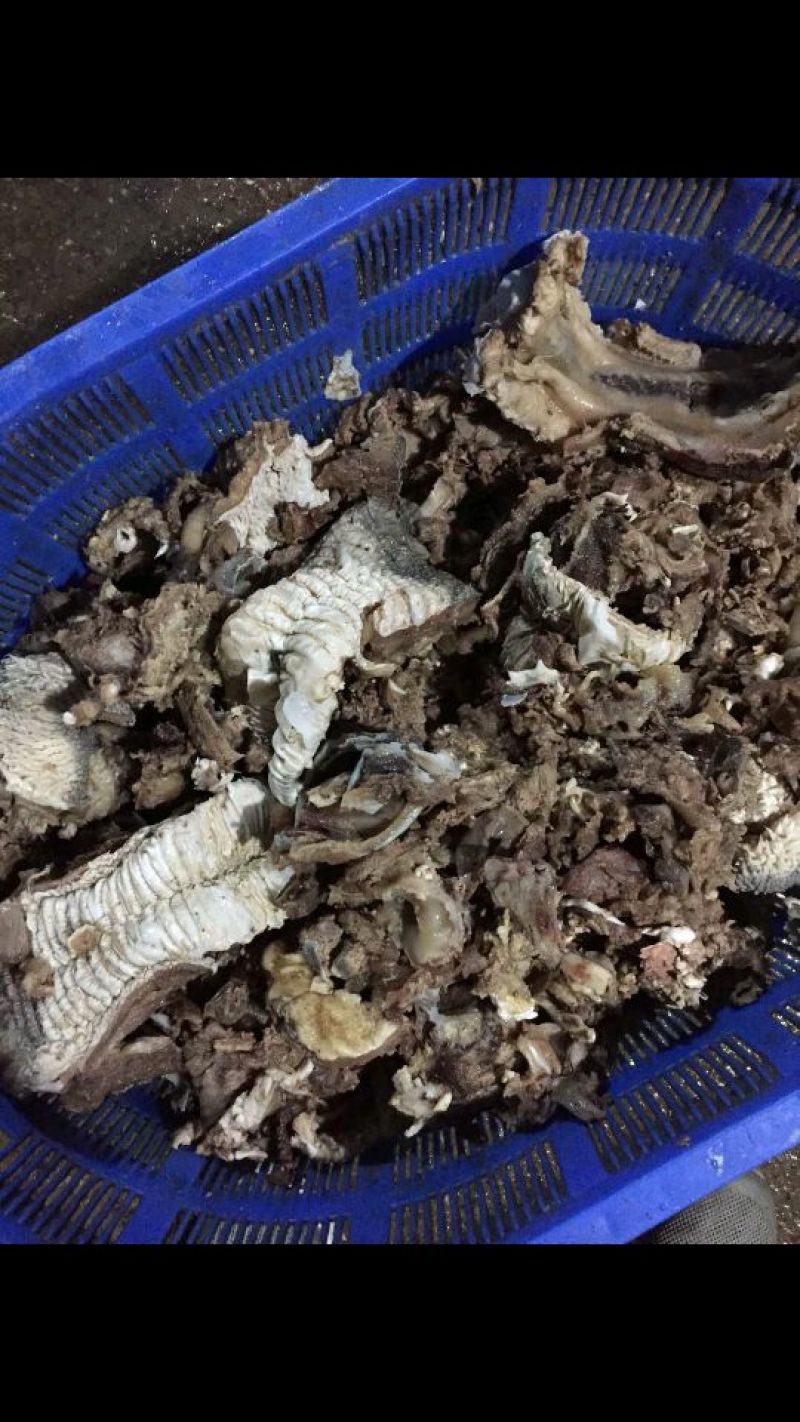 牛脸肉