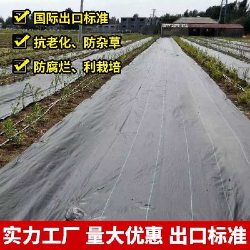 除草布防草保湿全新料抗老化