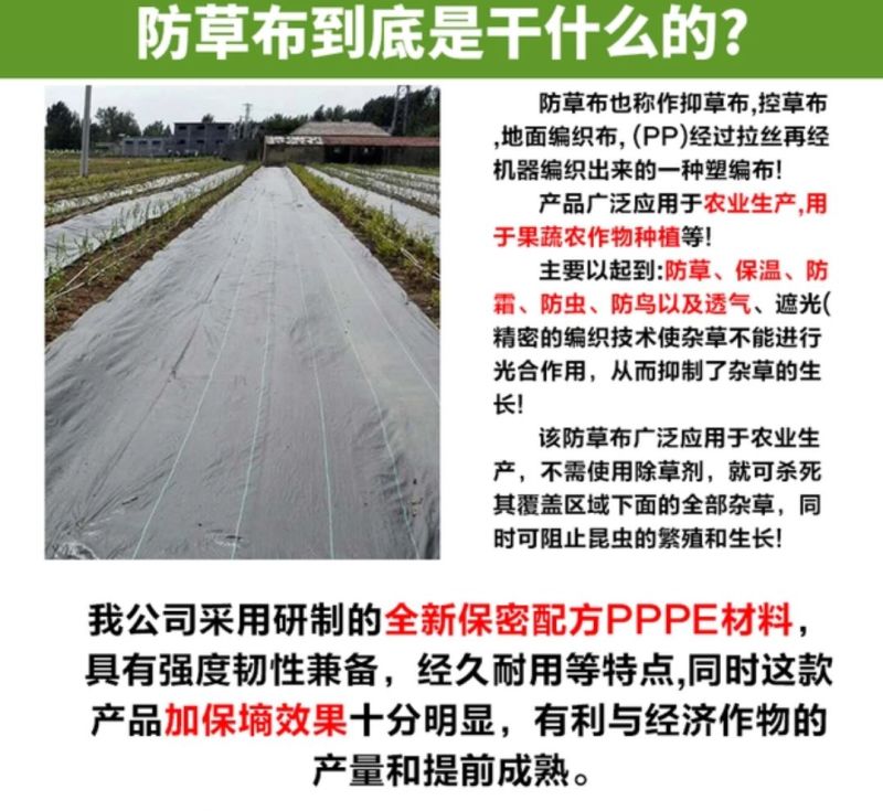 除草布防草保湿全新料抗老化