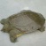 生态甲鱼2.5~3斤