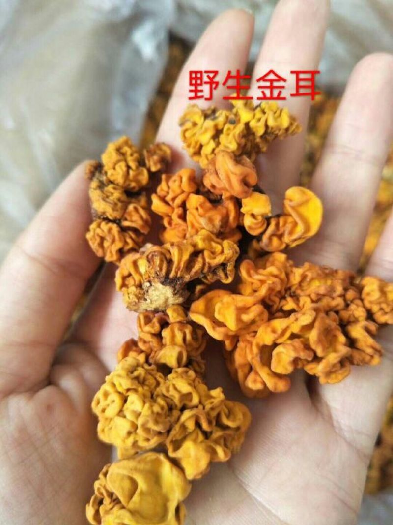 金耳食用菌分拣分级发货