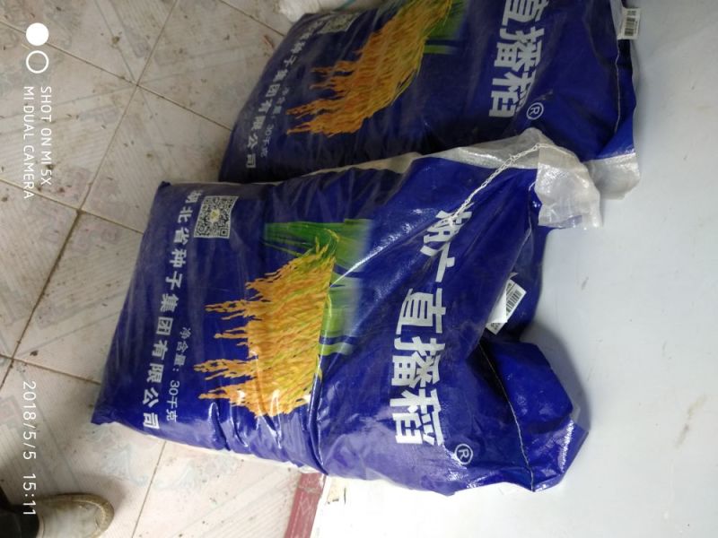 黄华占水稻1级
