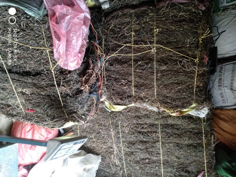 旱莲草片子:个子:批发一手货源药厂货产地直发