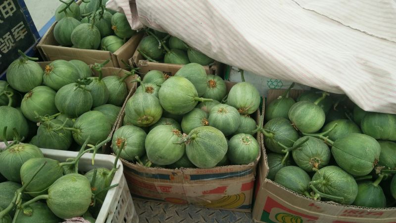 羊角蜜甜瓜精品1斤以上