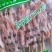 羊肉串一包500g