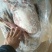 羊肉串一包500g