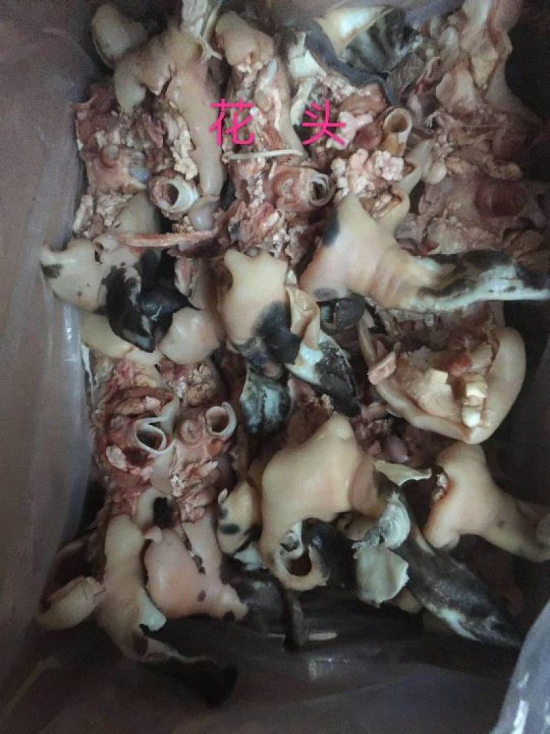 羊肚包装