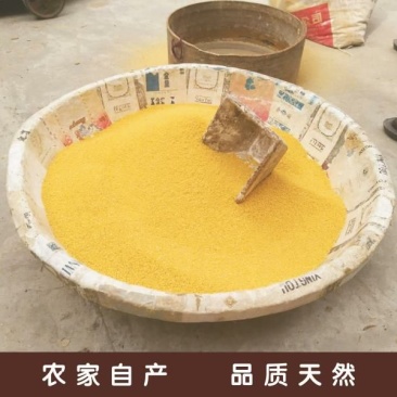 黄金米袋装
