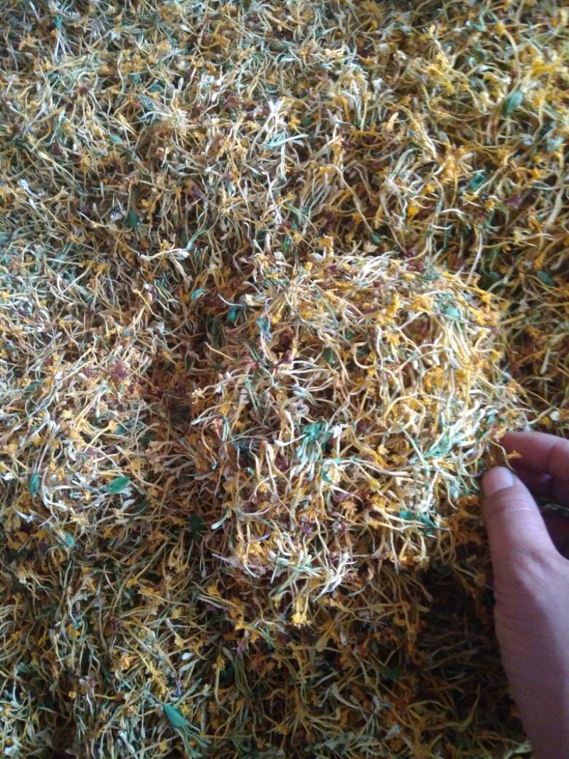 金银花云南野生干货现货