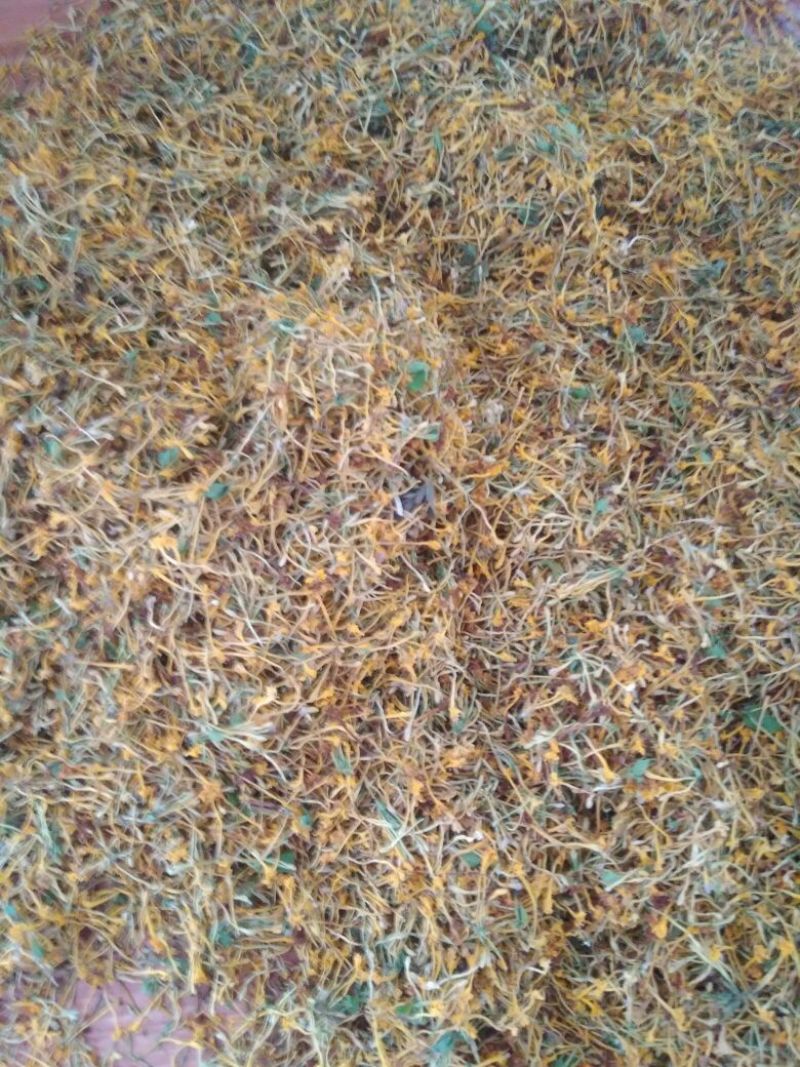金银花云南野生干货现货
