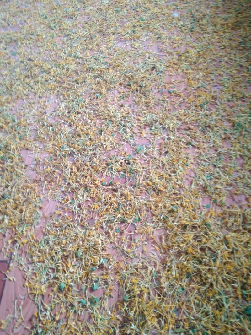 金银花云南野生干货现货