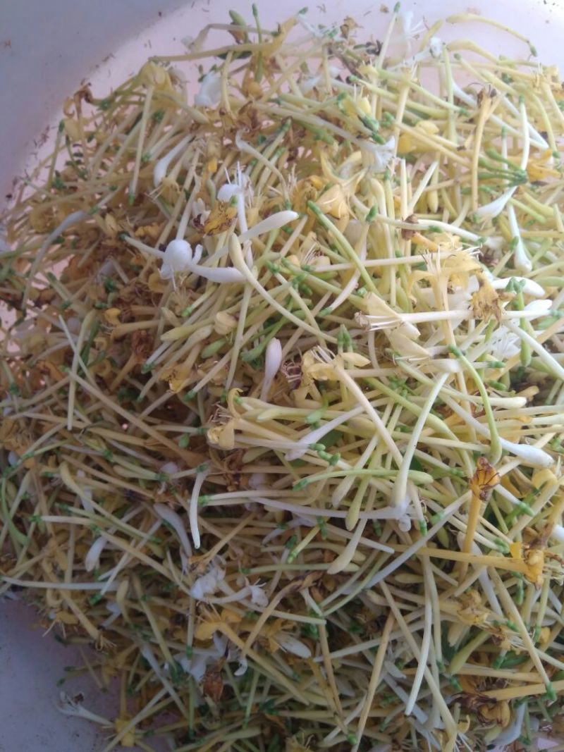 金银花云南野生干货现货