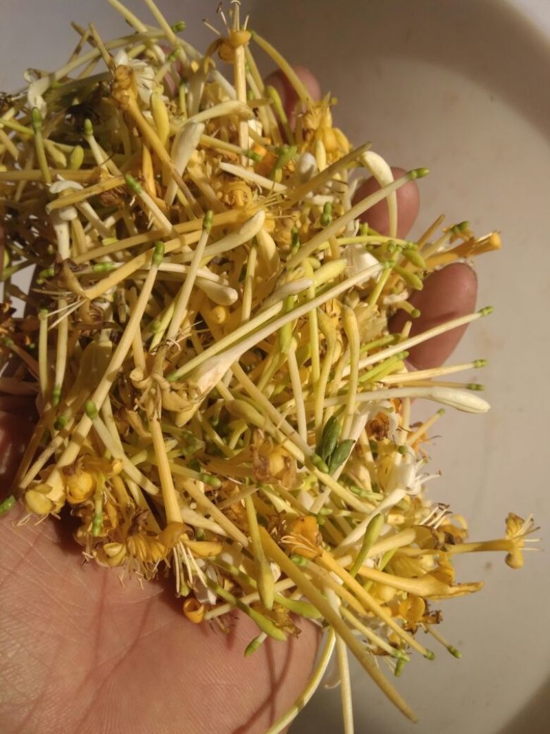 金银花云南野生干货现货