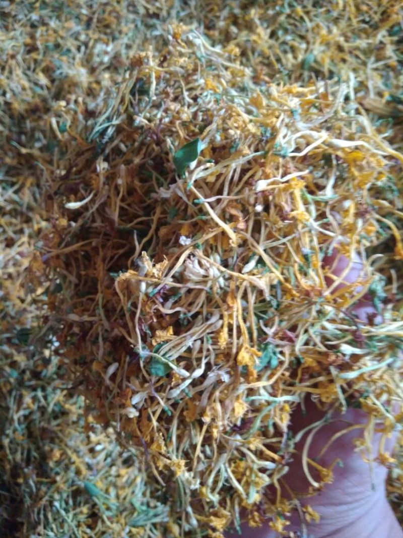 金银花云南野生干货现货