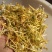 金银花云南野生干货现货