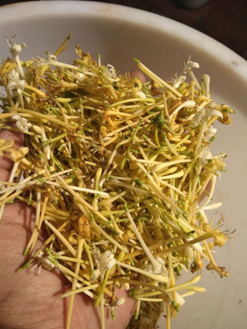金银花云南野生干货现货