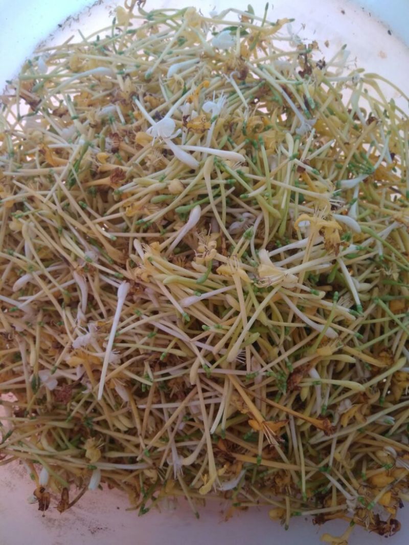 金银花云南野生干货现货