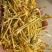 金银花云南野生干货现货