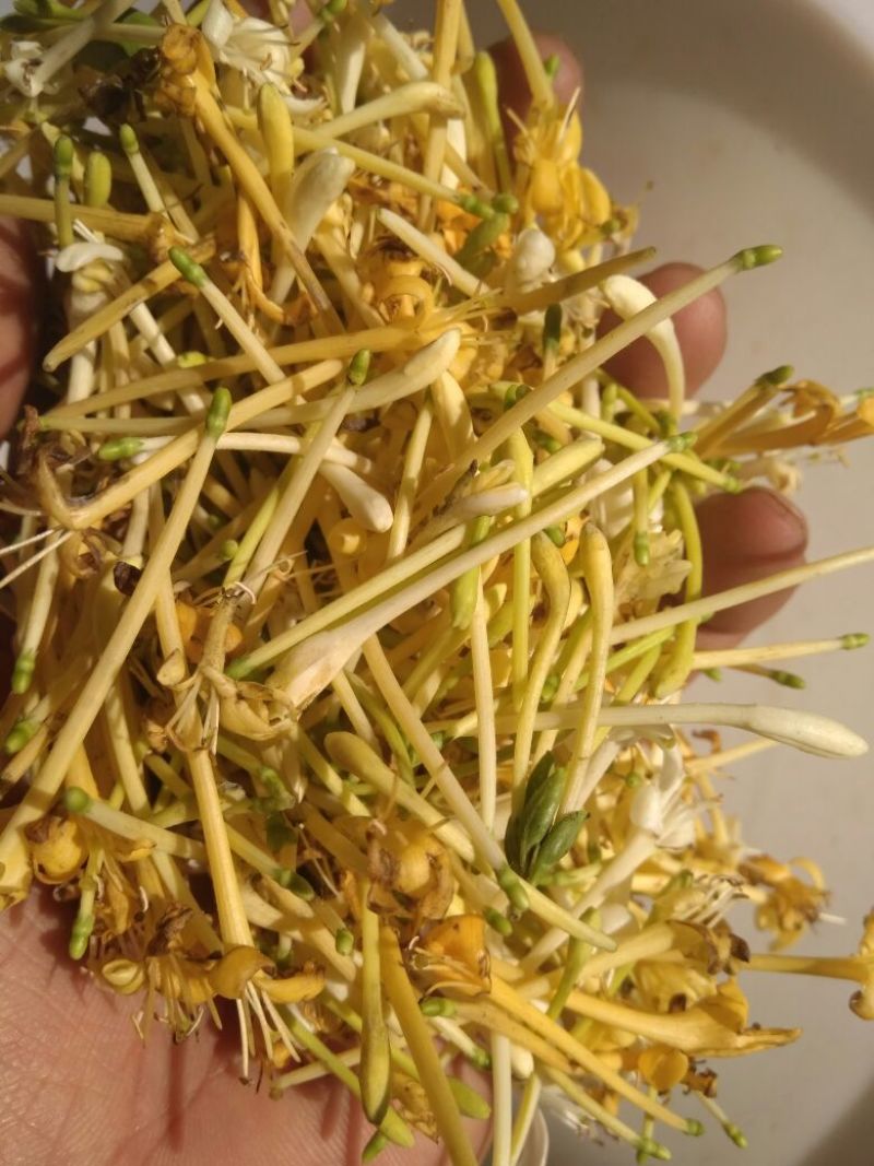 金银花云南野生干货现货