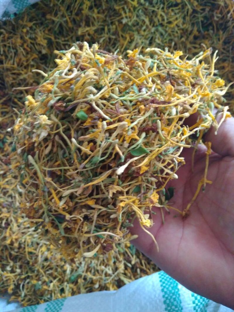 金银花云南野生干货现货