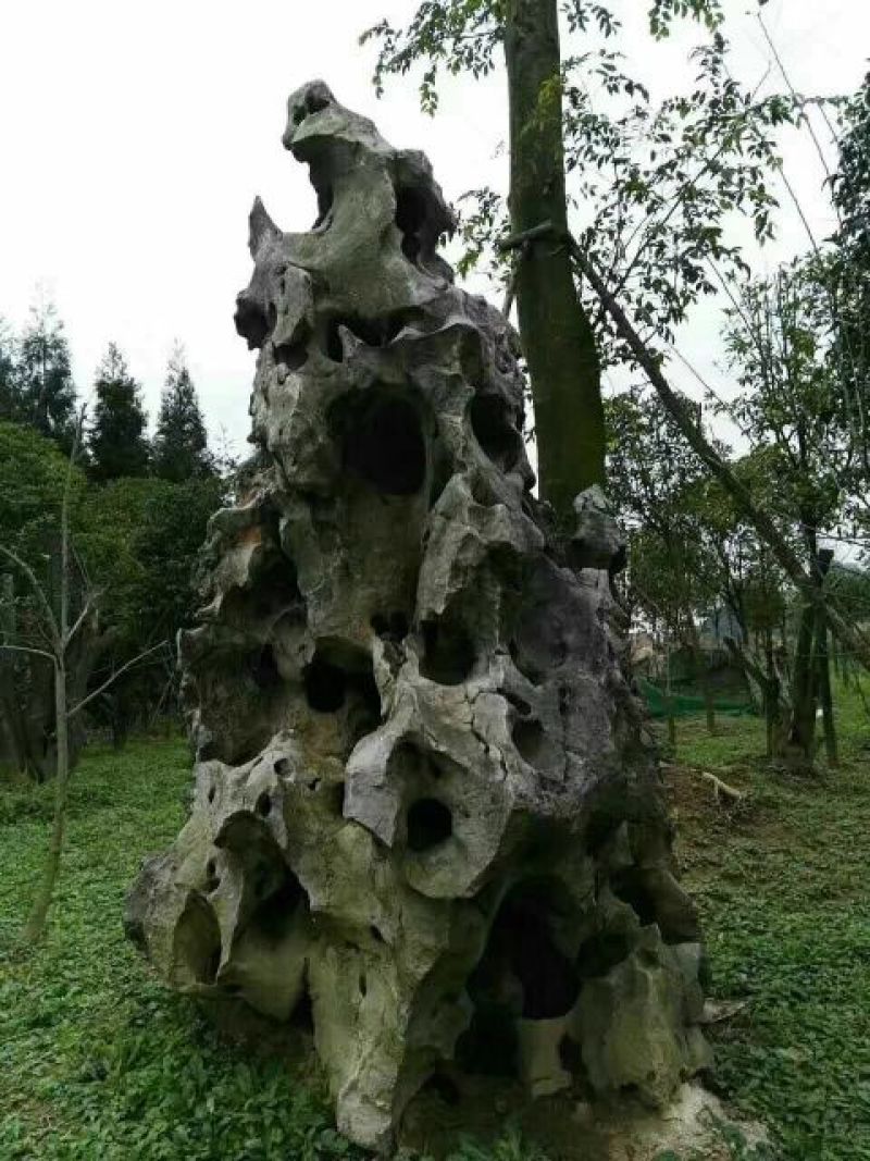 千层石