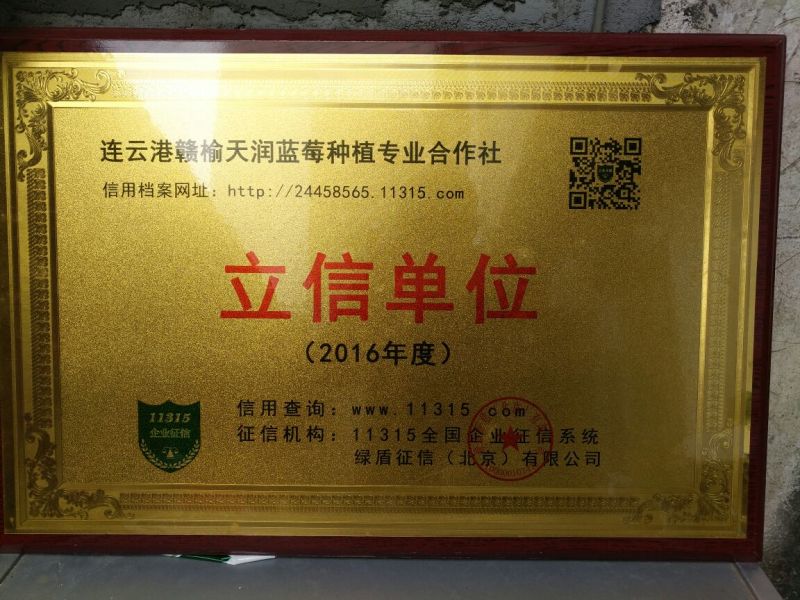 蓝莓鲜果12~14mm以上