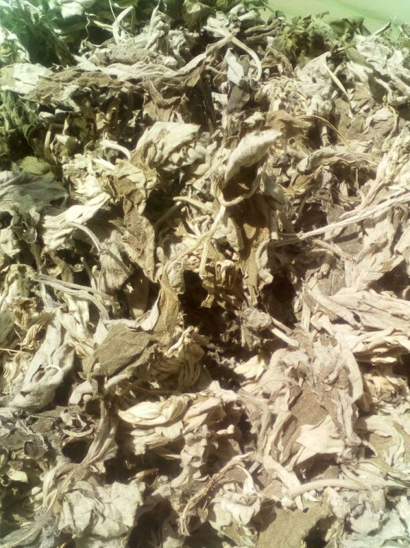 苦艾三年陈艾，量不大，先到先得