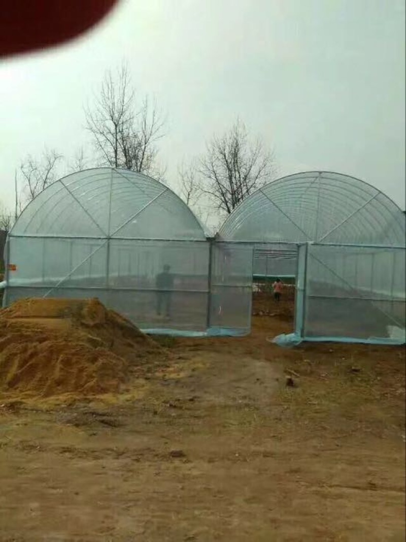 温室大棚镀锌管大棚