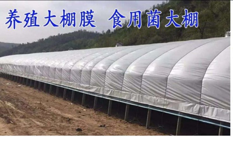 温室大棚镀锌管大棚