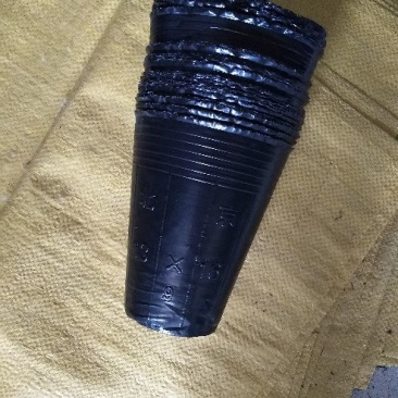 育苗袋13×16育苗杯，营养钵