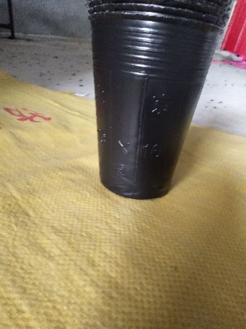 育苗袋13×16育苗杯，营养钵