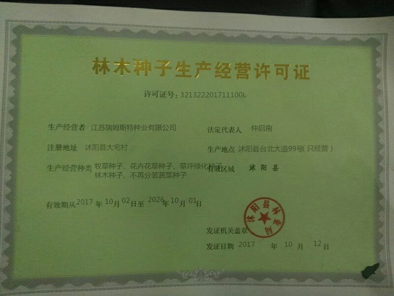 进口俄罗斯饲料菜种子