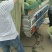 8424西瓜，6斤打底，9成熟1茬