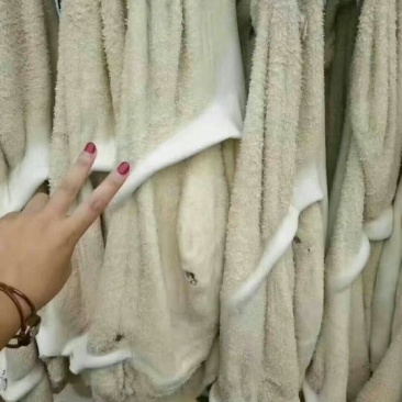 牛肚