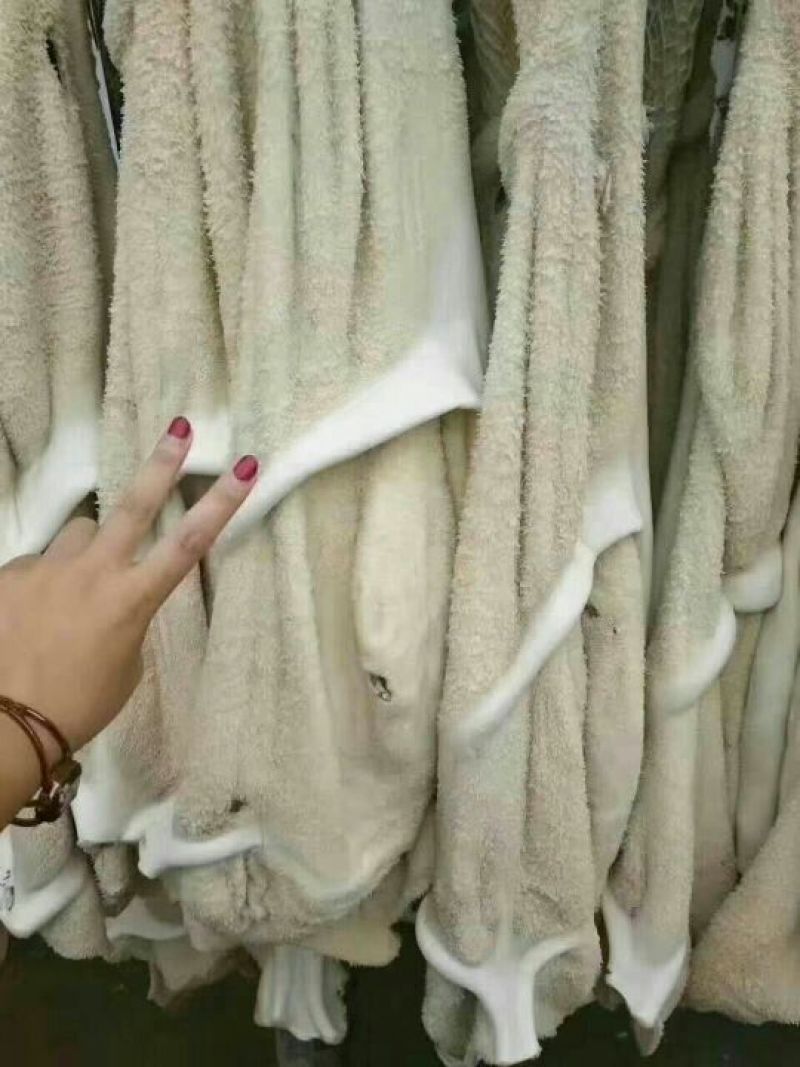 牛肚