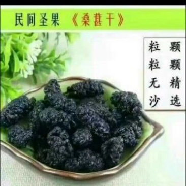 新货桑椹干