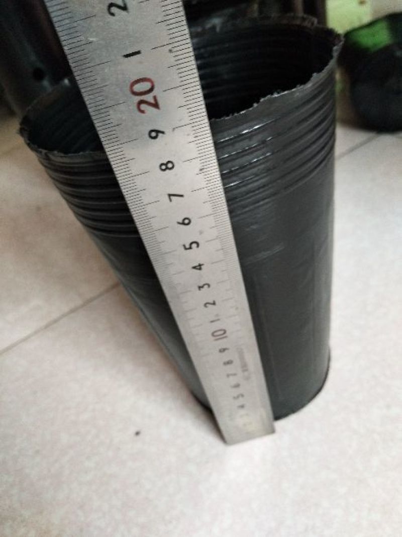 营养杯柑橘苗专用杯，树苗杯