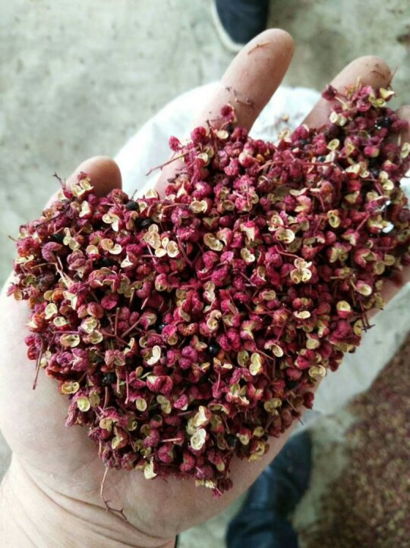 六月梅花椒，色好味浓
