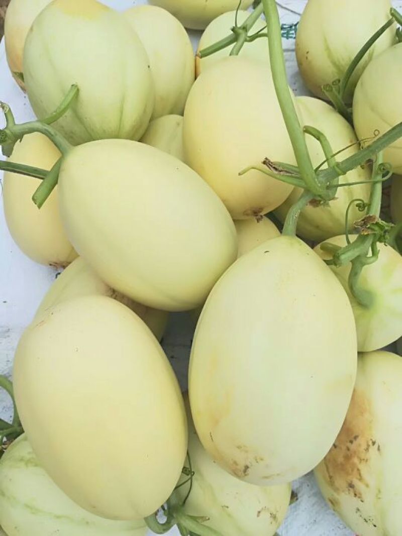 东方密