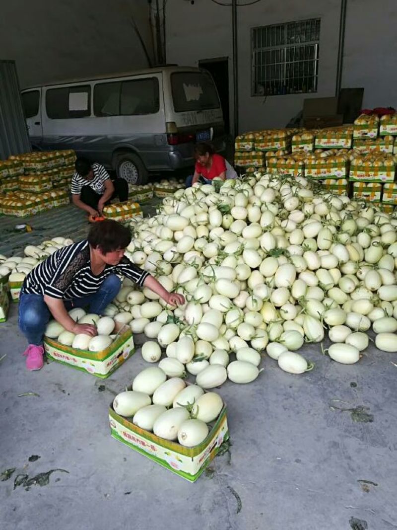 东方密