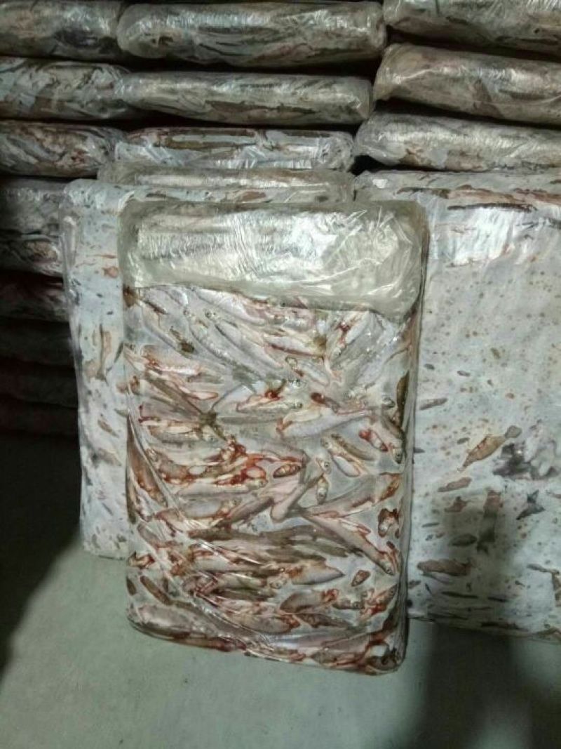 小白条/餐条鱼