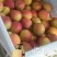 杏金太阳、桃杏、串枝红