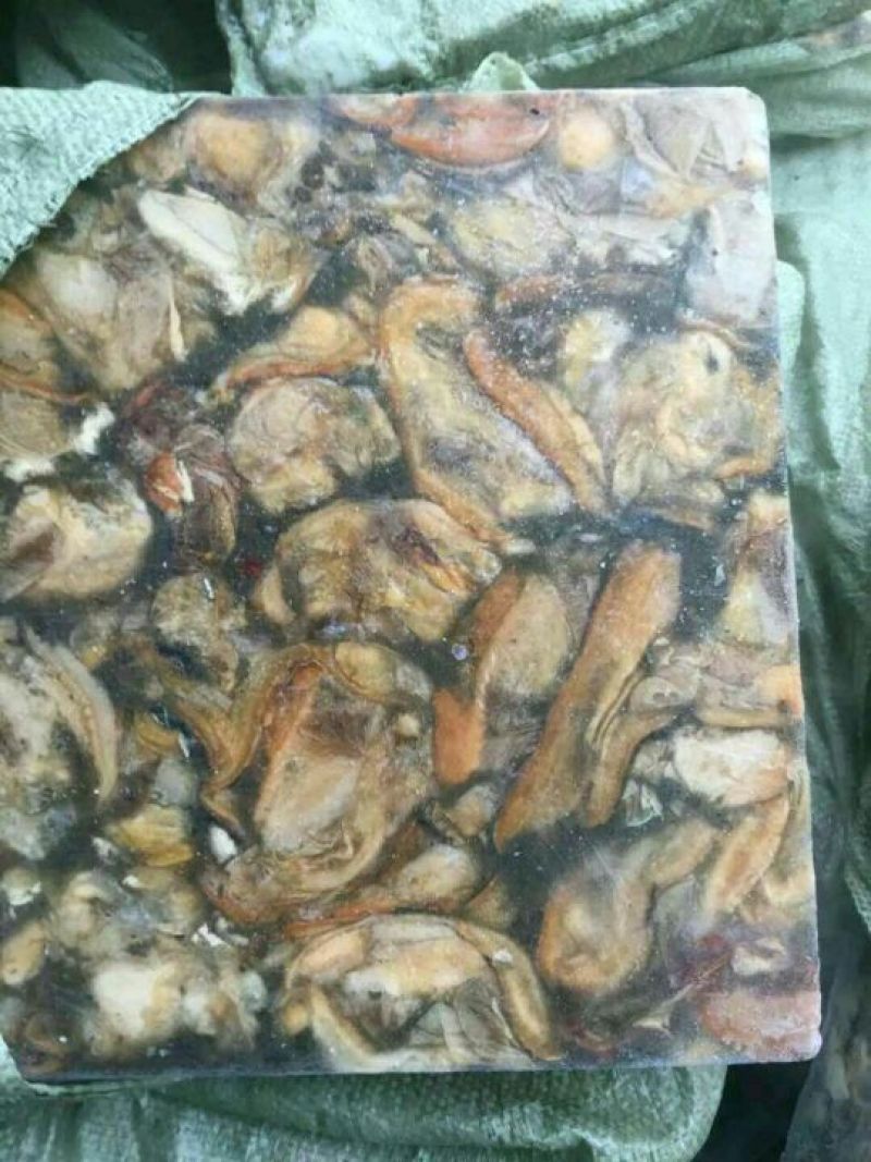 大量出售河蚌，蚌壳，蚌肉，价格优，质量有
